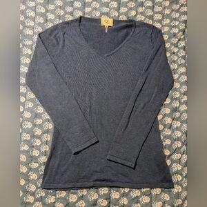 Qi Cashmere Silk Blend Thin Knit V-Neck Slate Blue Sweater Medium Collegiate